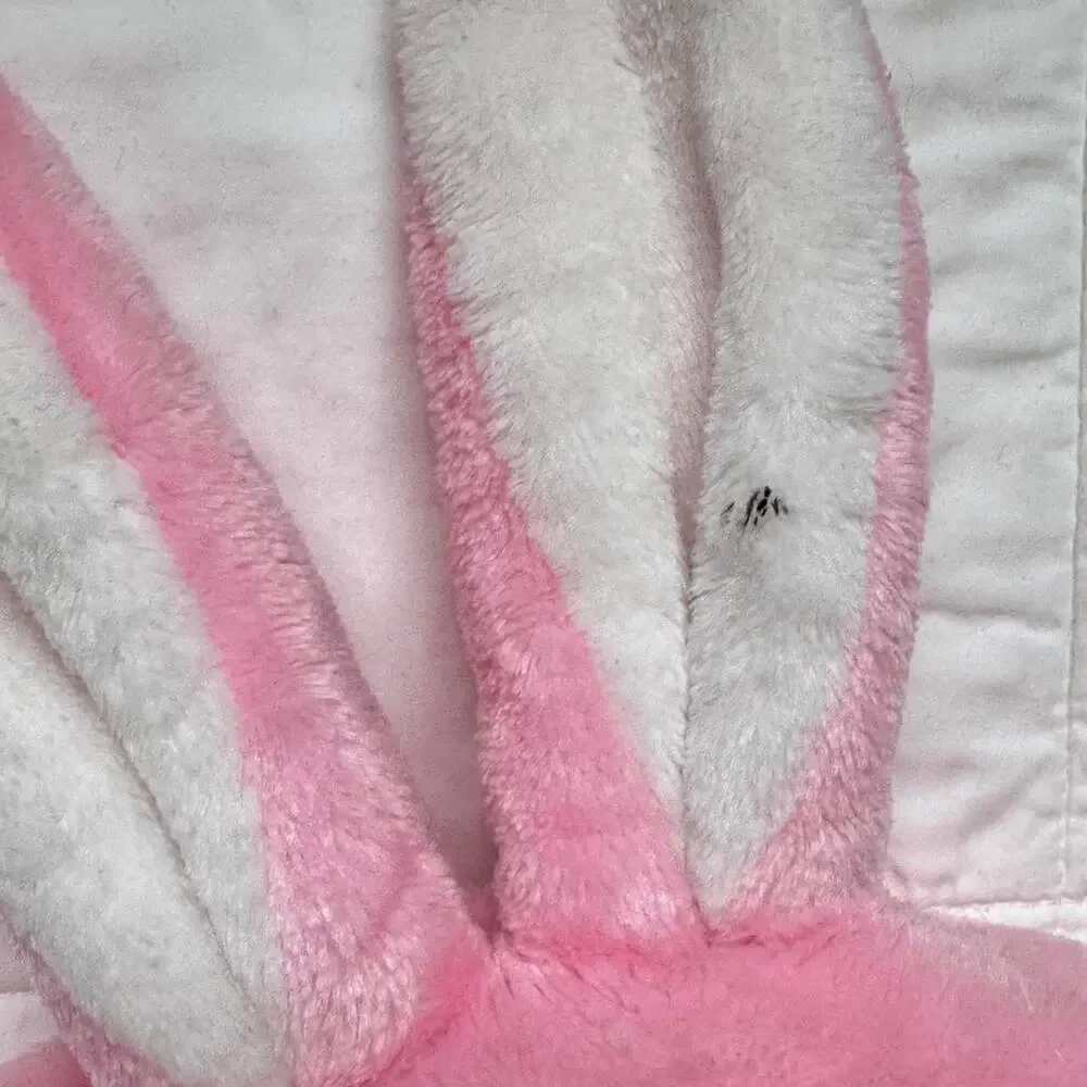 Source Unknown baby bunny